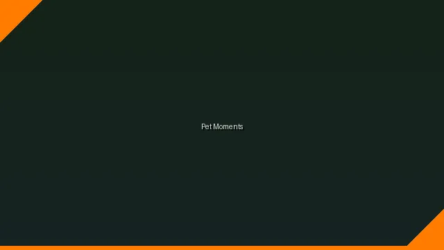 萌宠时刻主题赛 - 今日大赛 UGC视频竞赛